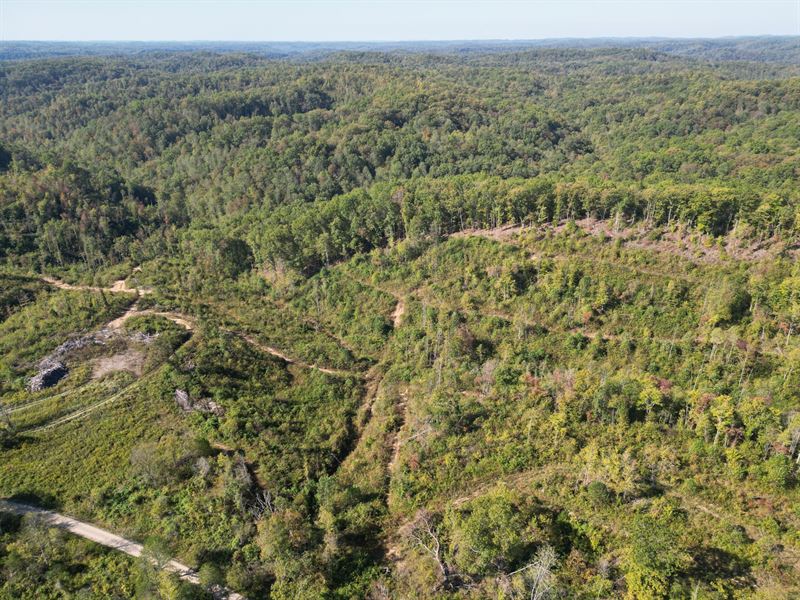 Wildcat Tract 16 : Easte Bernstandt : Laurel County : Kentucky