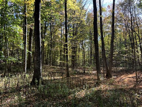 Base Camp for Outdoor Lovers : Orwell : Oswego County : New York