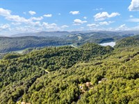 3.39 Acres with Norris Lake Access : New Tazewell : Claiborne County : Tennessee