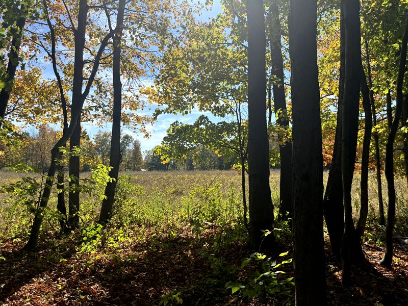 Best of Salmon River Area : Orwell : Oswego County : New York