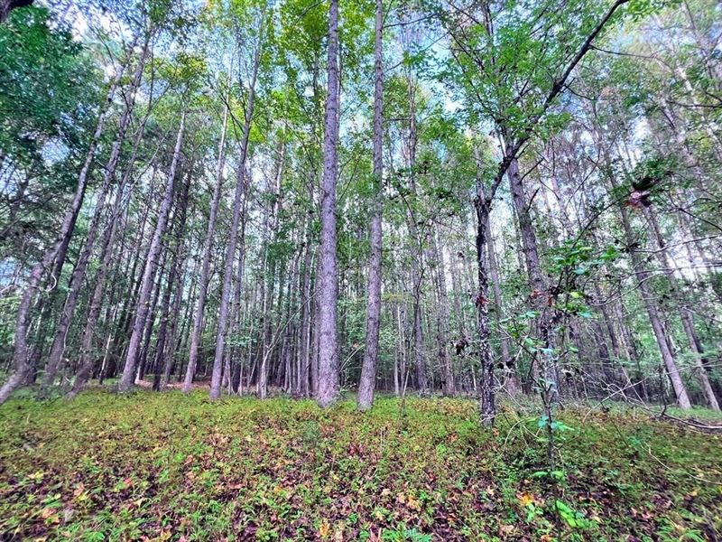12.23 Acres of Vacant Residential : Middlesex : Nash County : North Carolina
