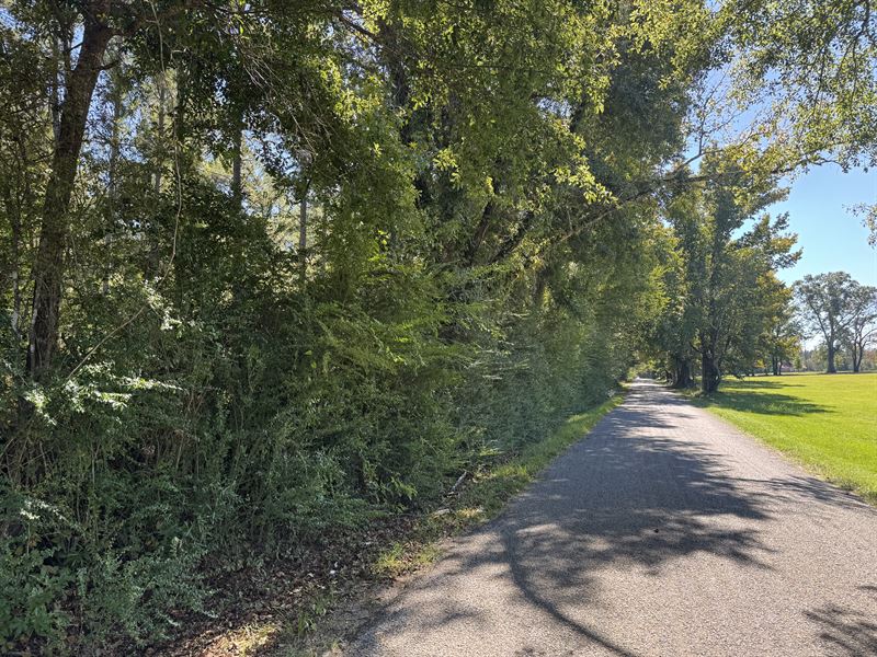 Tranquil Nineteen Acre Retreat : Wesson : Copiah County : Mississippi