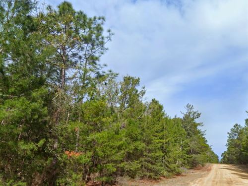 Peaceful Lot Mins From Interlachen : Interlachen : Putnam County : Florida