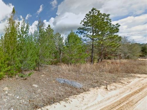 Near Lake, Mins From Interlachen : Interlachen : Putnam County : Florida