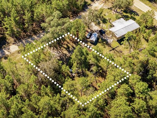 Secluded Land, No HOA, $1 Down : Interlachen : Putnam County : Florida