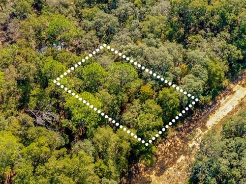 Nature Escape Mins From Interlachen : Interlachen : Putnam County : Florida