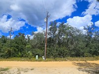 Backs to Forest, Mobile Homes OK : Umatilla : Marion County : Florida