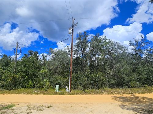 Mobile Home Allowed, Street Power : Umatilla : Marion County : Florida