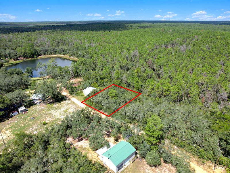 Backs to Forest, Mobile Homes OK : Umatilla : Marion County : Florida