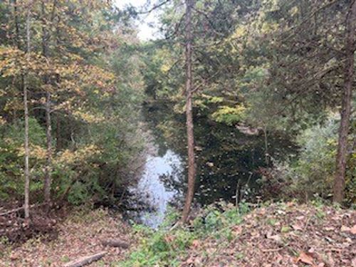 Land For Sale in Clay County, IN 6 : Center Point : Clay County : Indiana