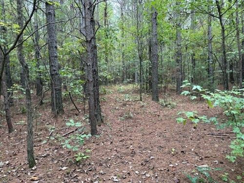 5.03 Acres Beautiful Unrestricted : Madisonville : Monroe County : Tennessee