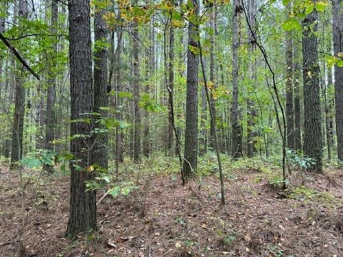 7.2 Acres Unrestricted Wooded Pro : Madisonville : Monroe County : Tennessee