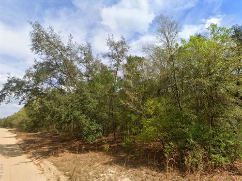 Quiet Lot Mins From Interlachen : Interlachen : Putnam County : Florida