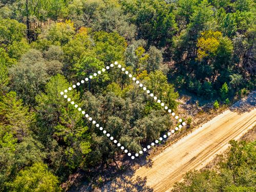 Quiet Lot Mins From Interlachen : Interlachen : Putnam County : Florida