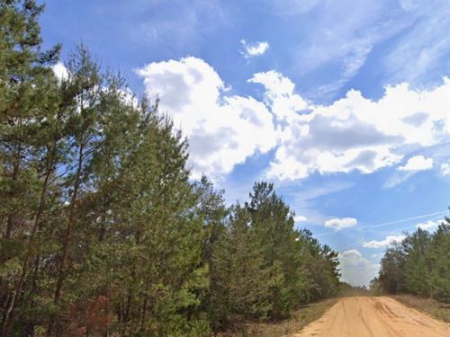 Wooded Hideaway Near Interlachen : Interlachen : Putnam County : Florida