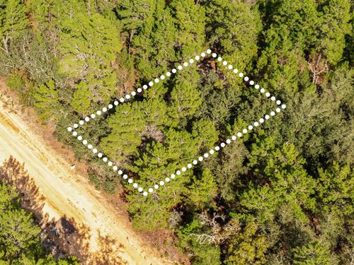 Wooded Hideaway Near Interlachen : Interlachen : Putnam County : Florida