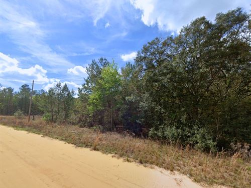 Shaded Lot Mins From Interlachen : Interlachen : Putnam County : Florida
