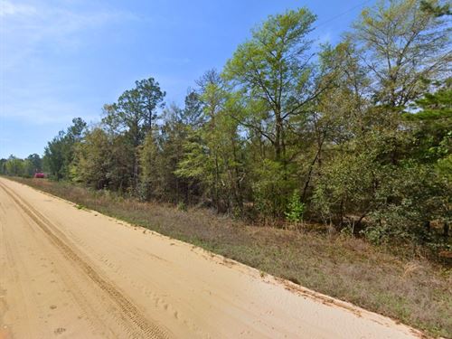 Peaceful Lot Close to Interlachen : Interlachen : Putnam County : Florida