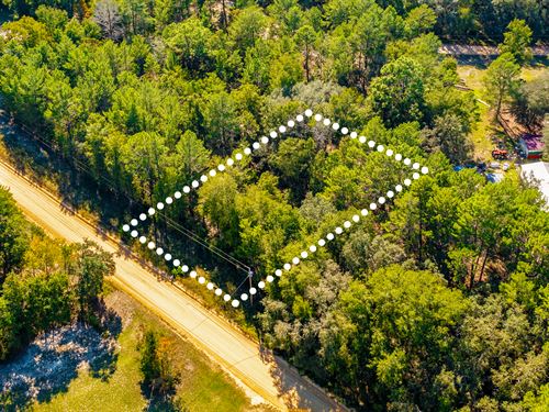 Peaceful Lot Close to Interlachen : Interlachen : Putnam County : Florida