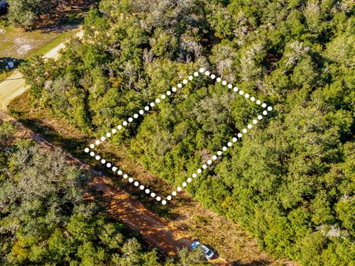 Quiet Lot Close to Interlachen : Interlachen : Putnam County : Florida