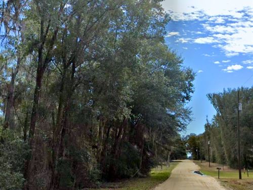Wooded Hideaway in Putnam : Interlachen : Putnam County : Florida