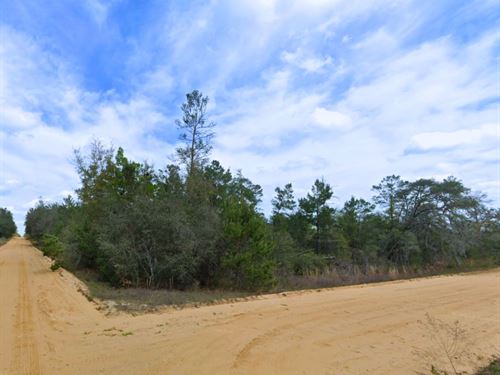 Peaceful Corner Lot in Interlachen : Interlachen : Putnam County : Florida