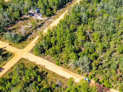 Peaceful Corner Lot in Interlachen : Interlachen : Putnam County : Florida