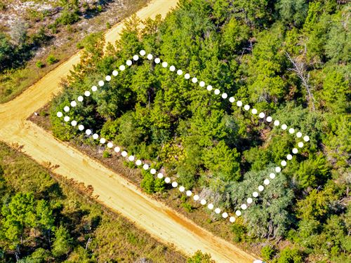 Peaceful Corner Lot in Interlachen : Interlachen : Putnam County : Florida