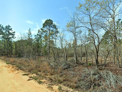 Quiet Lot in Putnam : Interlachen : Putnam County : Florida