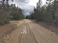 Adulting Level Up, Own Florida Land : Interlachen : Putnam County : Florida