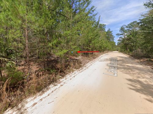 Pomona Park FL Retreat Only $475/Mo : Pomona Park : Putnam County : Florida