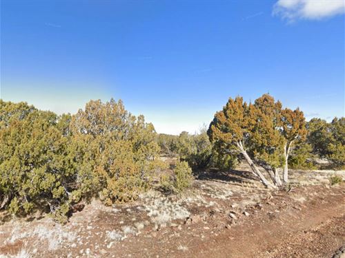 Off-Grid Dream Near Concho : Concho : Apache County : Arizona