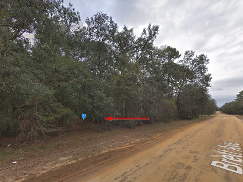Easy Access FL Lot, Only $282/Mo : Interlachen : Putnam County : Florida