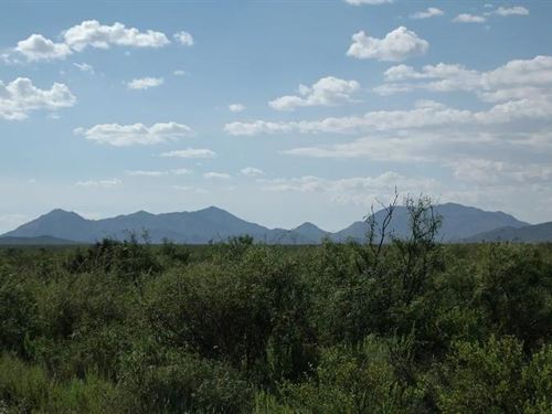 Hard-To-Find 10.001-Acre Sierra : Sierra Blanca : Hudspeth County : Texas