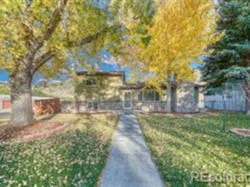 Minutes Form Downtown Salida : Salida : Chaffee County : Colorado