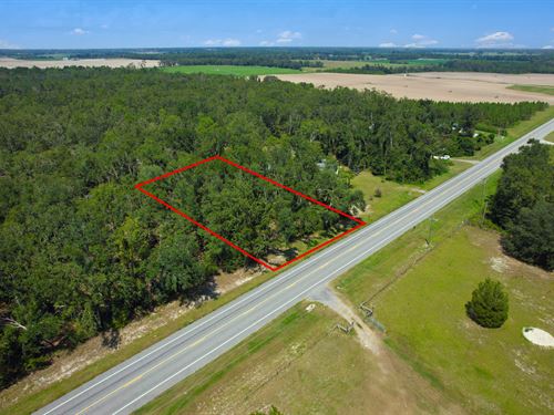 Rural Property Close to Parks : Jasper : Hamilton County : Florida