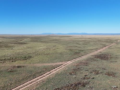 1 Acre Lot Near Moriarty, NM : Moriarty : Torrance County : New Mexico
