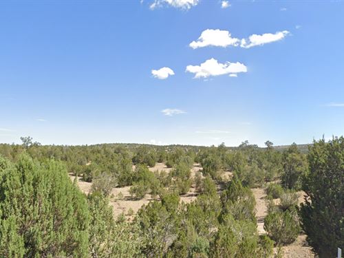 Ultimate Off-Grid Cabin Spot : Seligman : Yavapai County : Arizona