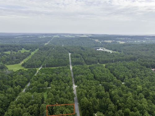 Residential Lot Near Dog Park &Lake : Horseshoe Bend : Izard County : Arkansas