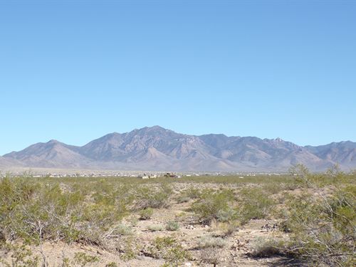 Peace, Privacy & Investment : Dolan Springs : Mohave County : Arizona