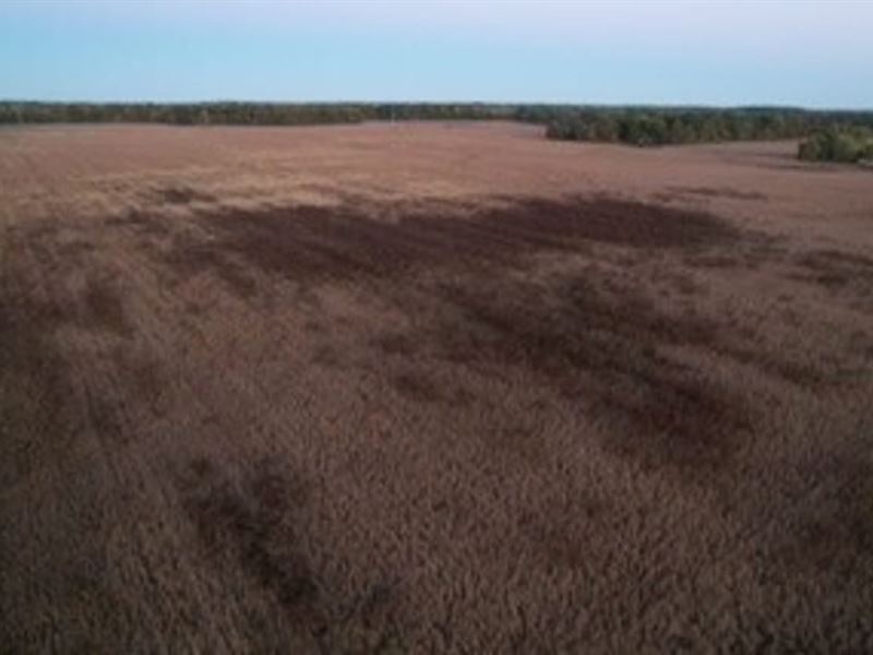 Lot for Sale Owen County : Spencer : Owen County : Indiana