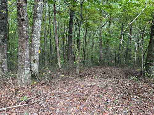 5.07 Acres Unrestricted Wooded pr : Tracy City : Grundy County : Tennessee
