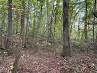 5.10 Acres Unrestricted Property : Tracy City : Grundy County : Tennessee