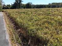 Quiet Country Living, 4Ac : Collinsville : Cherokee County : Alabama