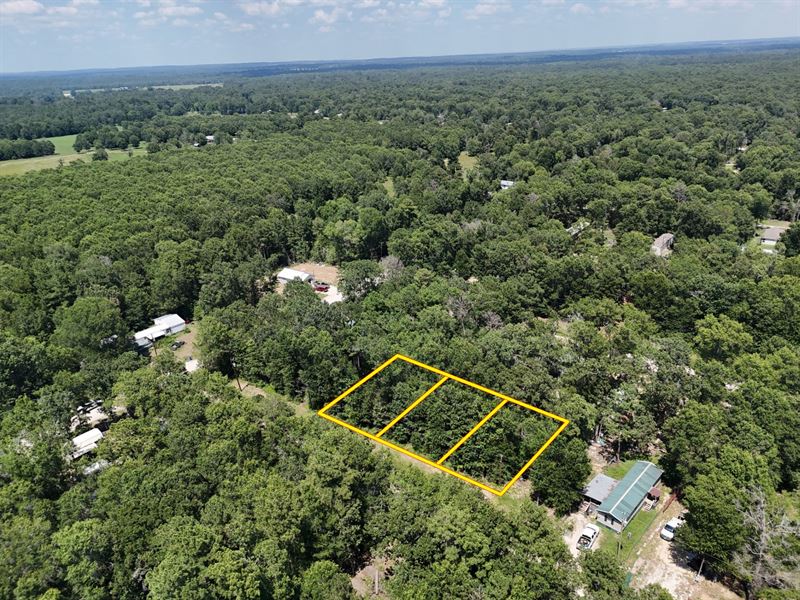 .25 Acre Triple Lot, Full Time RV : Livingston : Polk County : Texas