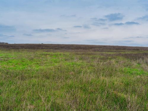 2.8+ Acres Near Austin, TX : Kingsbury : Guadalupe County : Texas