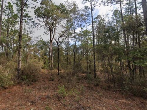 Peaceful Setting with Easy Access : Interlachen : Putnam County : Florida