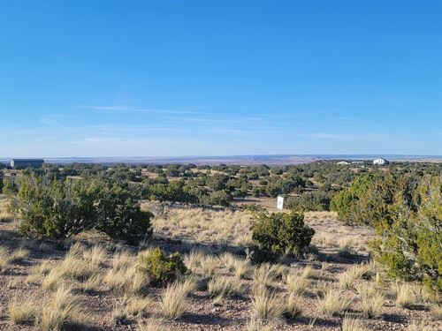 Your Quiet AZ Retreat Near Concho : Concho : Apache County : Arizona