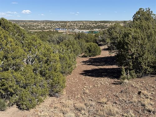 Build Atop a Hill with Scenic Views : Concho : Apache County : Arizona