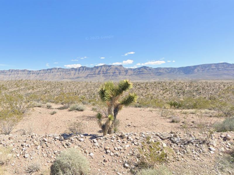 Escape to 1.25 Acres in Mohave, AZ : Meadview : Mohave County : Arizona